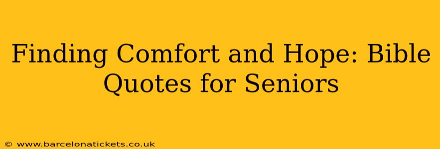 Finding Comfort and Hope: Bible Quotes for Seniors