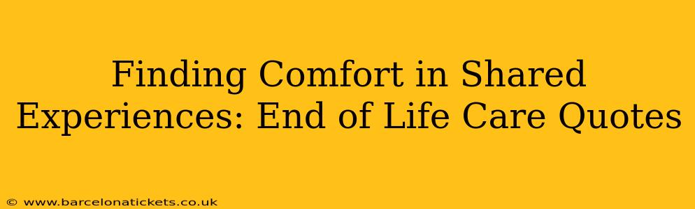 Finding Comfort in Shared Experiences: End of Life Care Quotes