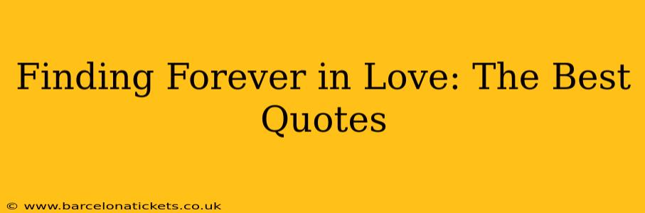 Finding Forever in Love: The Best Quotes