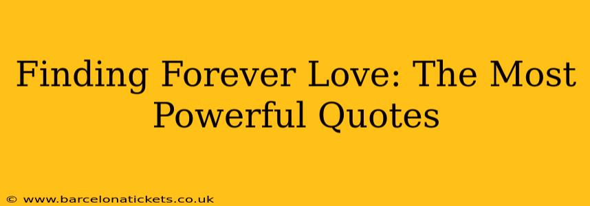 Finding Forever Love: The Most Powerful Quotes