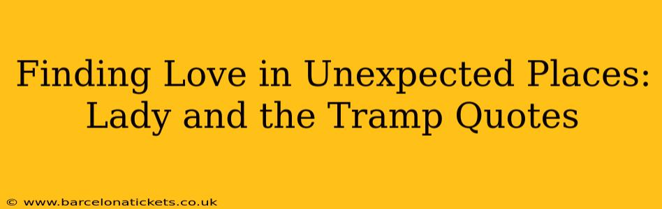 Finding Love in Unexpected Places: Lady and the Tramp Quotes