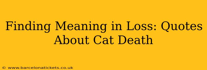 Finding Meaning in Loss: Quotes About Cat Death