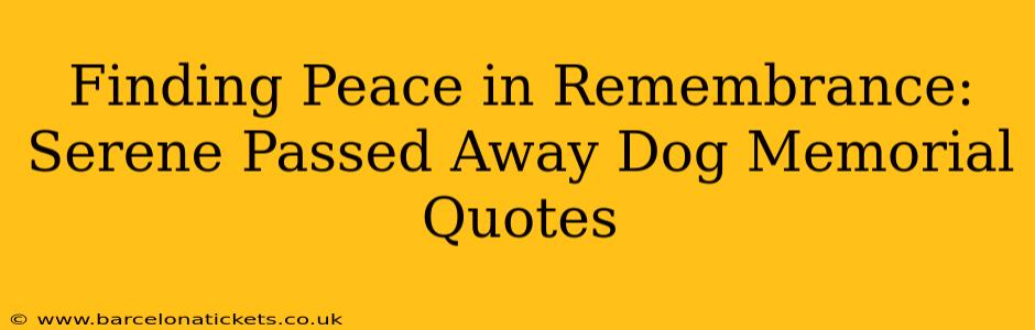 Finding Peace in Remembrance:  Serene Passed Away Dog Memorial Quotes