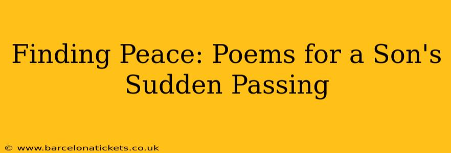 Finding Peace: Poems for a Son's Sudden Passing