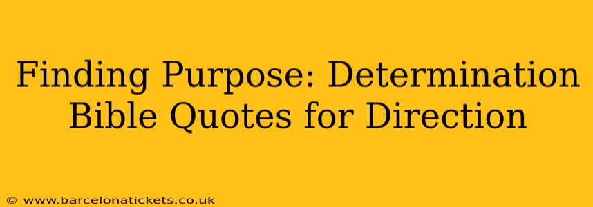 Finding Purpose: Determination Bible Quotes for Direction