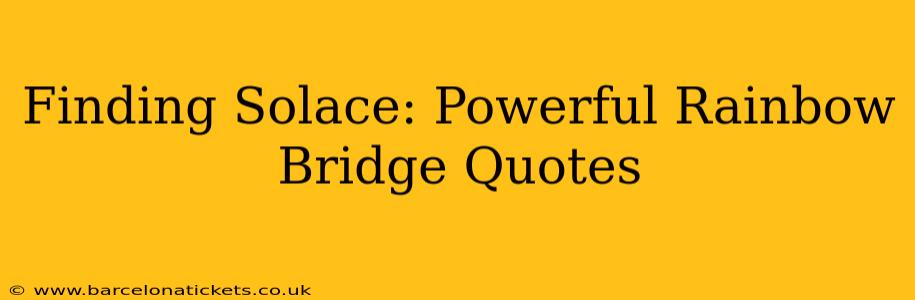 Finding Solace: Powerful Rainbow Bridge Quotes
