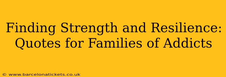 Finding Strength and Resilience: Quotes for Families of Addicts