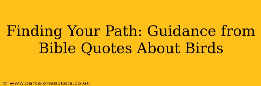 Finding Your Path: Guidance from Bible Quotes About Birds