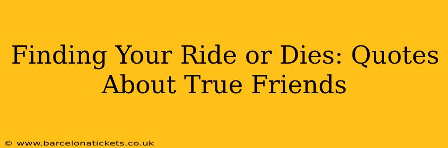Finding Your Ride or Dies: Quotes About True Friends