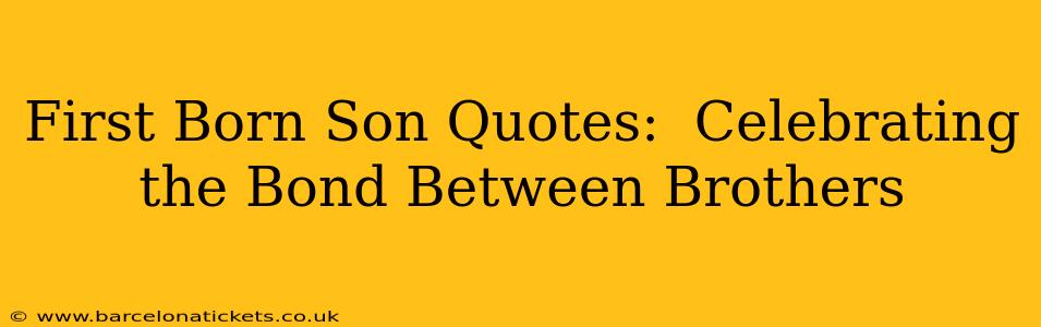First Born Son Quotes:  Celebrating the Bond Between Brothers