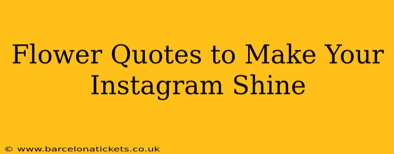 Flower Quotes to Make Your Instagram Shine