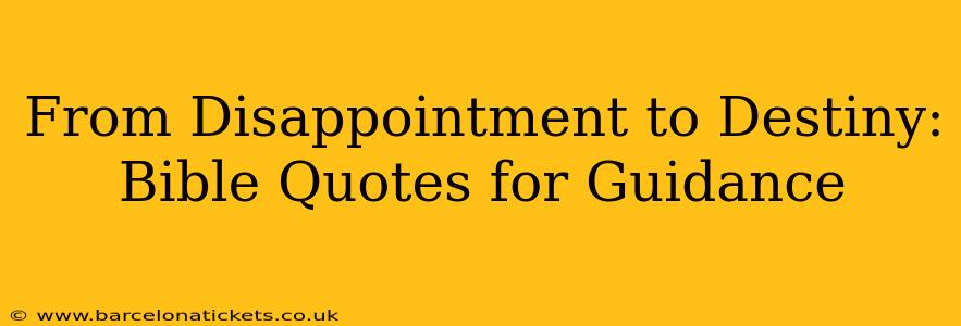 From Disappointment to Destiny: Bible Quotes for Guidance