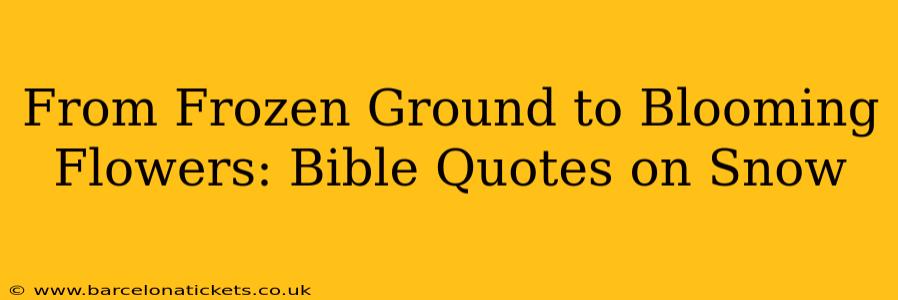 From Frozen Ground to Blooming Flowers: Bible Quotes on Snow