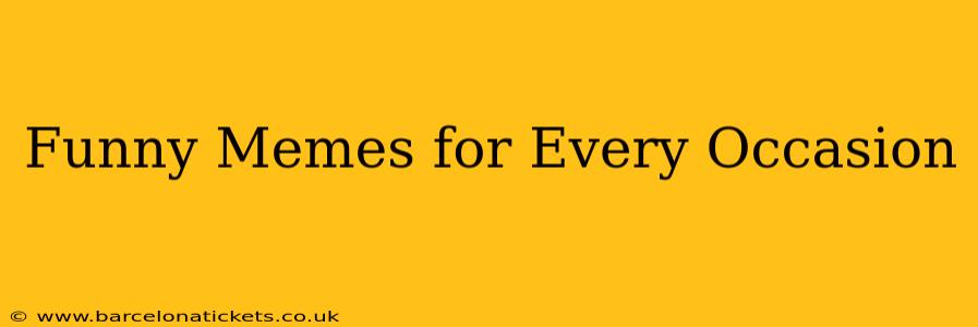Funny Memes for Every Occasion