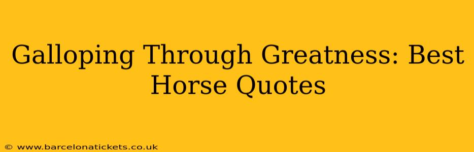 Galloping Through Greatness: Best Horse Quotes