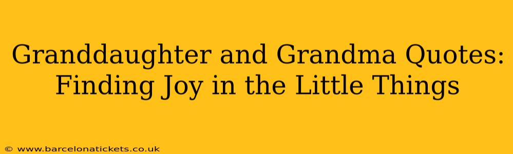 Granddaughter and Grandma Quotes: Finding Joy in the Little Things