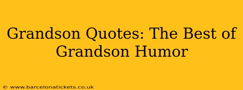 Grandson Quotes: The Best of Grandson Humor