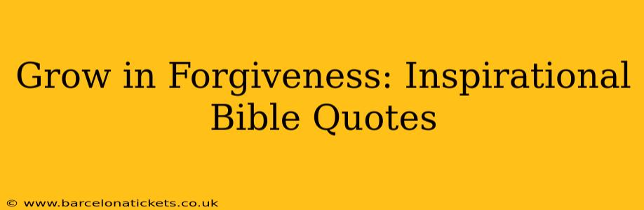 Grow in Forgiveness: Inspirational Bible Quotes