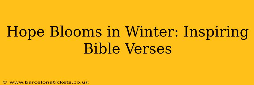 Hope Blooms in Winter: Inspiring Bible Verses