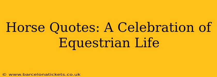Horse Quotes: A Celebration of Equestrian Life