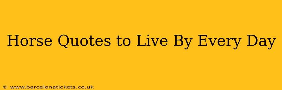 Horse Quotes to Live By Every Day