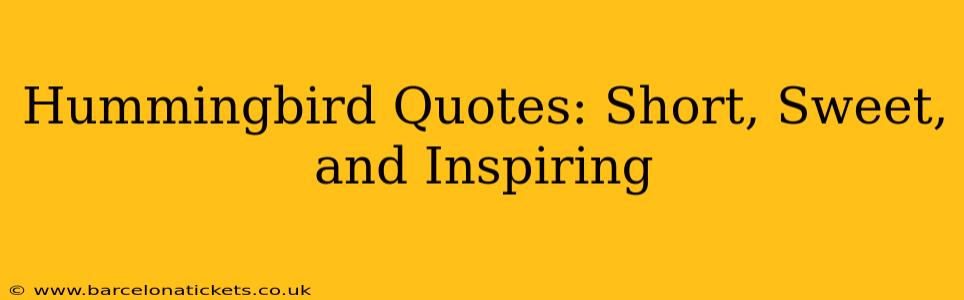 Hummingbird Quotes: Short, Sweet, and Inspiring