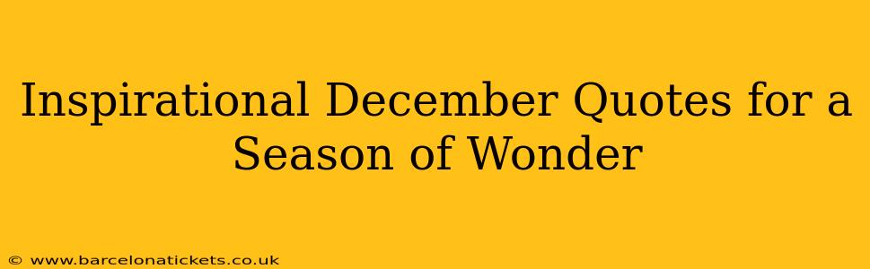 Inspirational December Quotes for a Season of Wonder