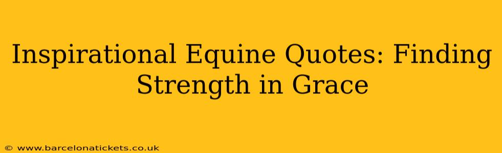 Inspirational Equine Quotes: Finding Strength in Grace