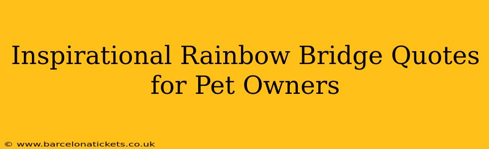 Inspirational Rainbow Bridge Quotes for Pet Owners