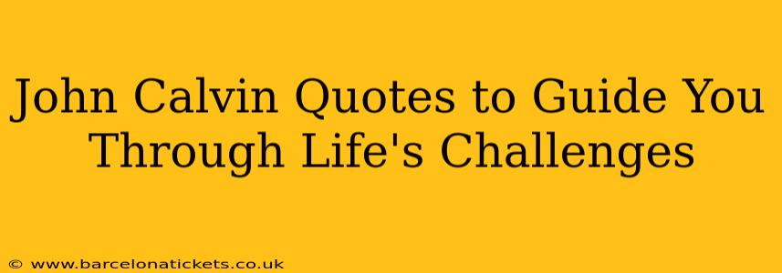 John Calvin Quotes to Guide You Through Life's Challenges
