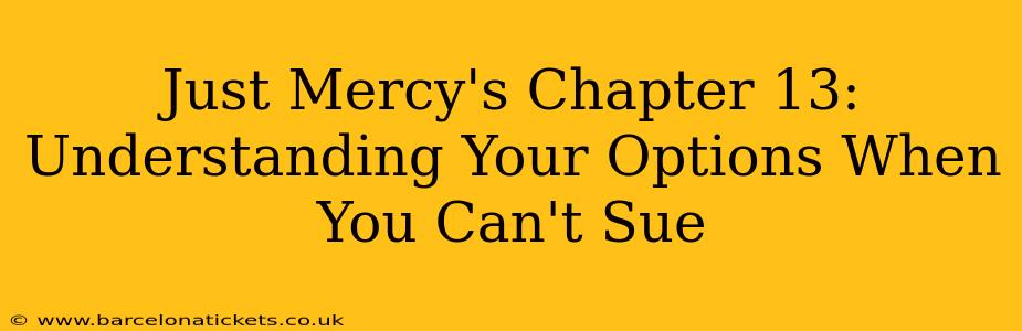 Just Mercy's Chapter 13: Understanding Your Options When You Can't Sue