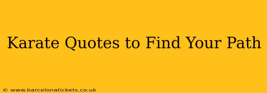 Karate Quotes to Find Your Path