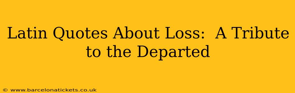 Latin Quotes About Loss:  A Tribute to the Departed