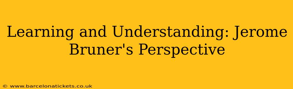Learning and Understanding: Jerome Bruner's Perspective