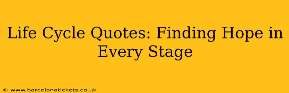 Life Cycle Quotes: Finding Hope in Every Stage