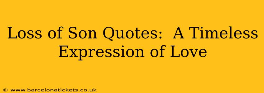 Loss of Son Quotes:  A Timeless Expression of Love