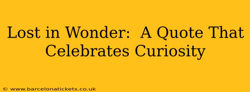Lost in Wonder:  A Quote That Celebrates Curiosity