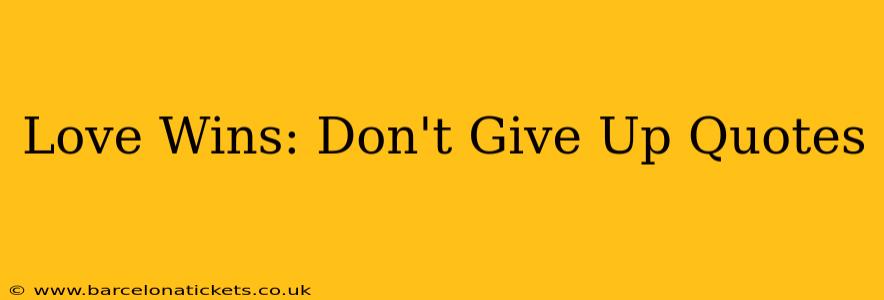 Love Wins: Don't Give Up Quotes