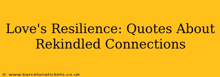 Love's Resilience: Quotes About Rekindled Connections
