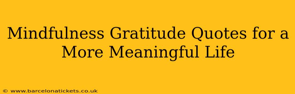 Mindfulness Gratitude Quotes for a More Meaningful Life