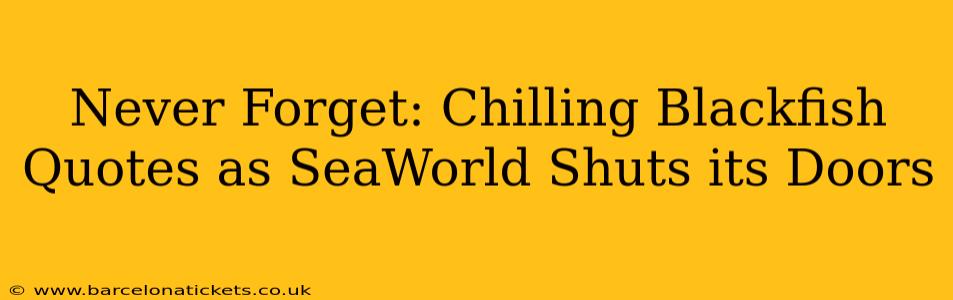Never Forget: Chilling Blackfish Quotes as SeaWorld Shuts its Doors
