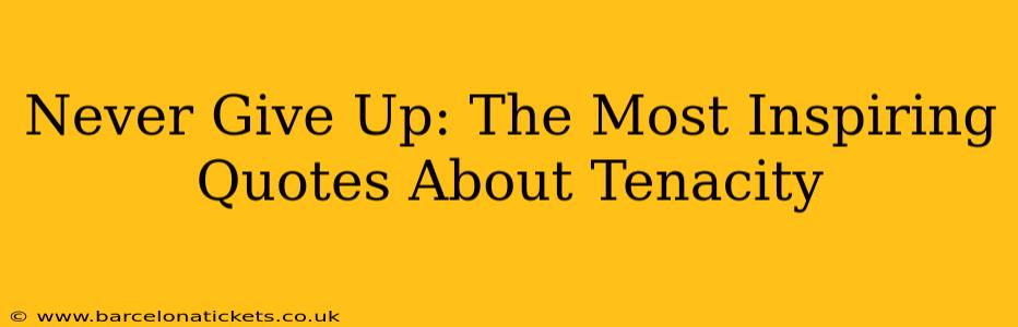 Never Give Up: The Most Inspiring Quotes About Tenacity
