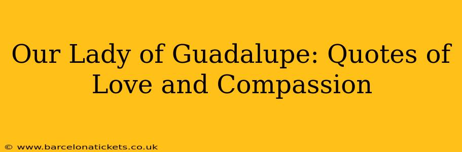 Our Lady of Guadalupe: Quotes of Love and Compassion
