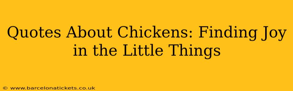 Quotes About Chickens: Finding Joy in the Little Things