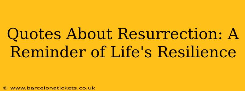 Quotes About Resurrection: A Reminder of Life's Resilience