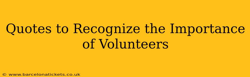 Quotes to Recognize the Importance of Volunteers