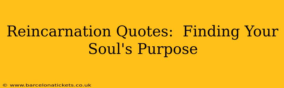 Reincarnation Quotes:  Finding Your Soul's Purpose