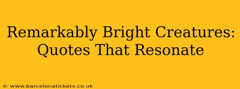 Remarkably Bright Creatures: Quotes That Resonate