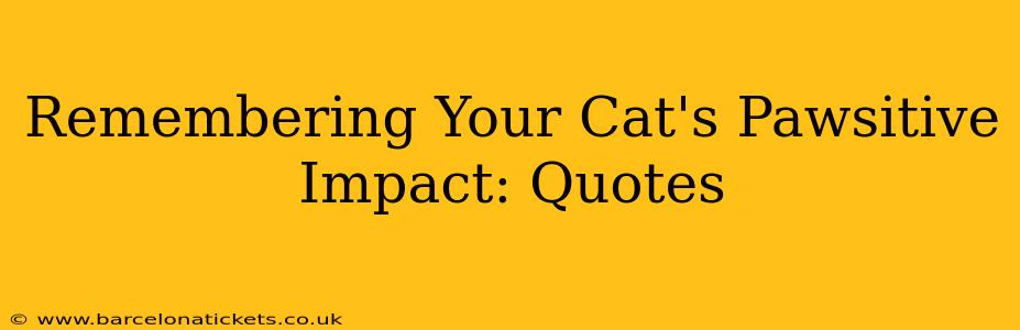 Remembering Your Cat's Pawsitive Impact: Quotes