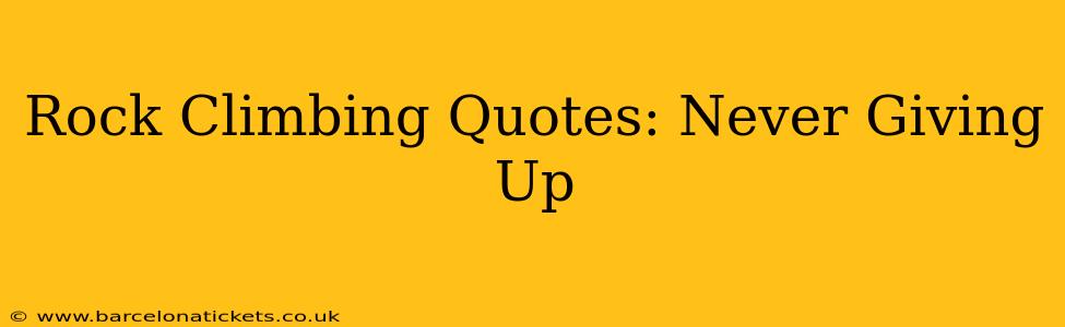 Rock Climbing Quotes: Never Giving Up